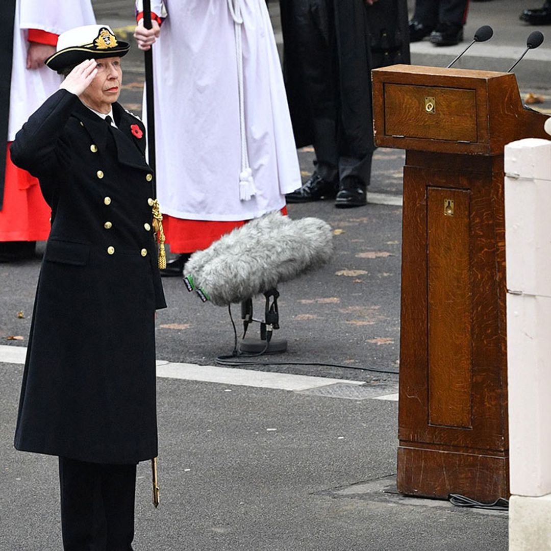 Princess Anne commands attention in military uniform on Remembrance Sunday