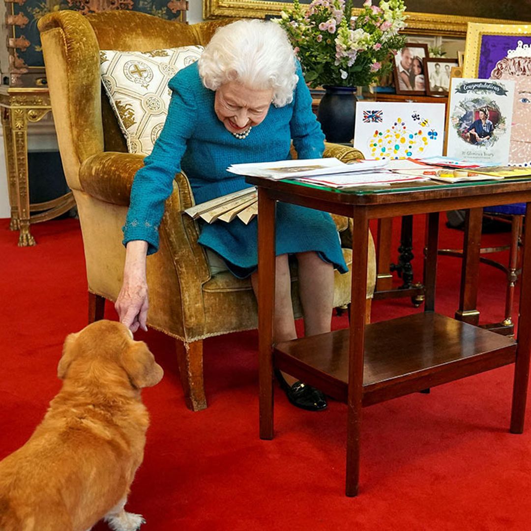 The Queen's corgis have been an absolute 'godsend' to her in lockdown