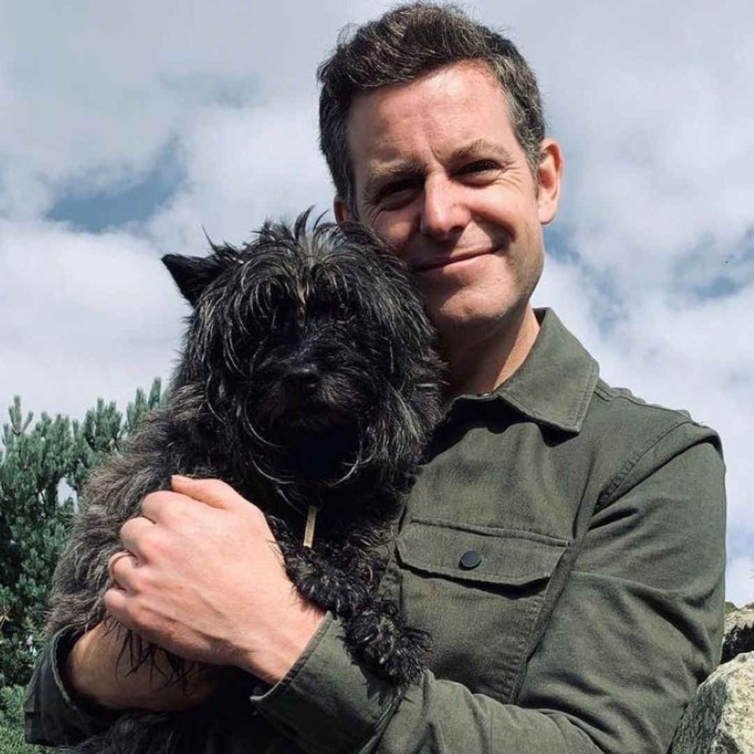 Matt Baker thrills fans with glimpse of adorable new additions to family farm