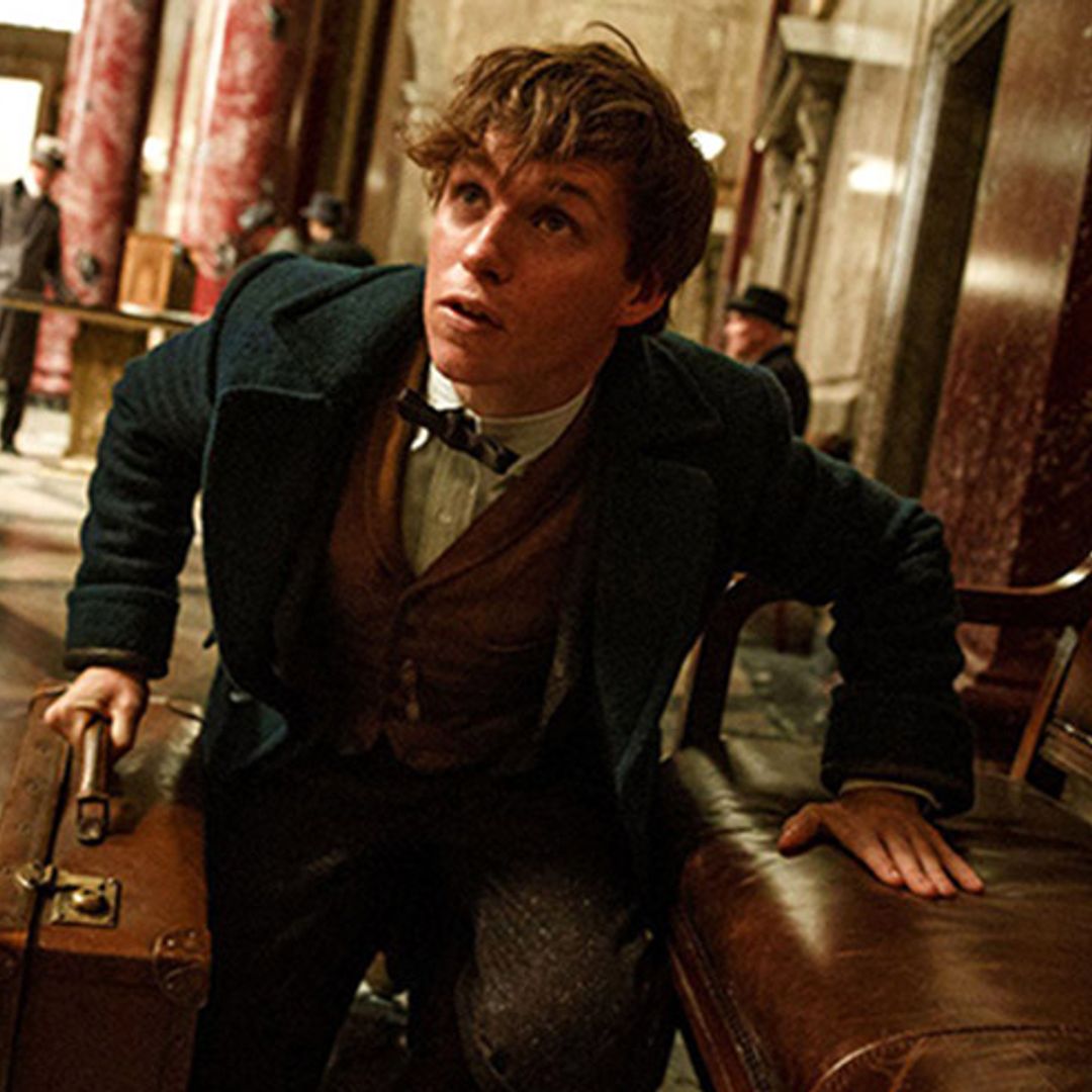 Attention Potter fans! Eddie Redmayne opens up about Fantastic Beasts and Where to Find Them