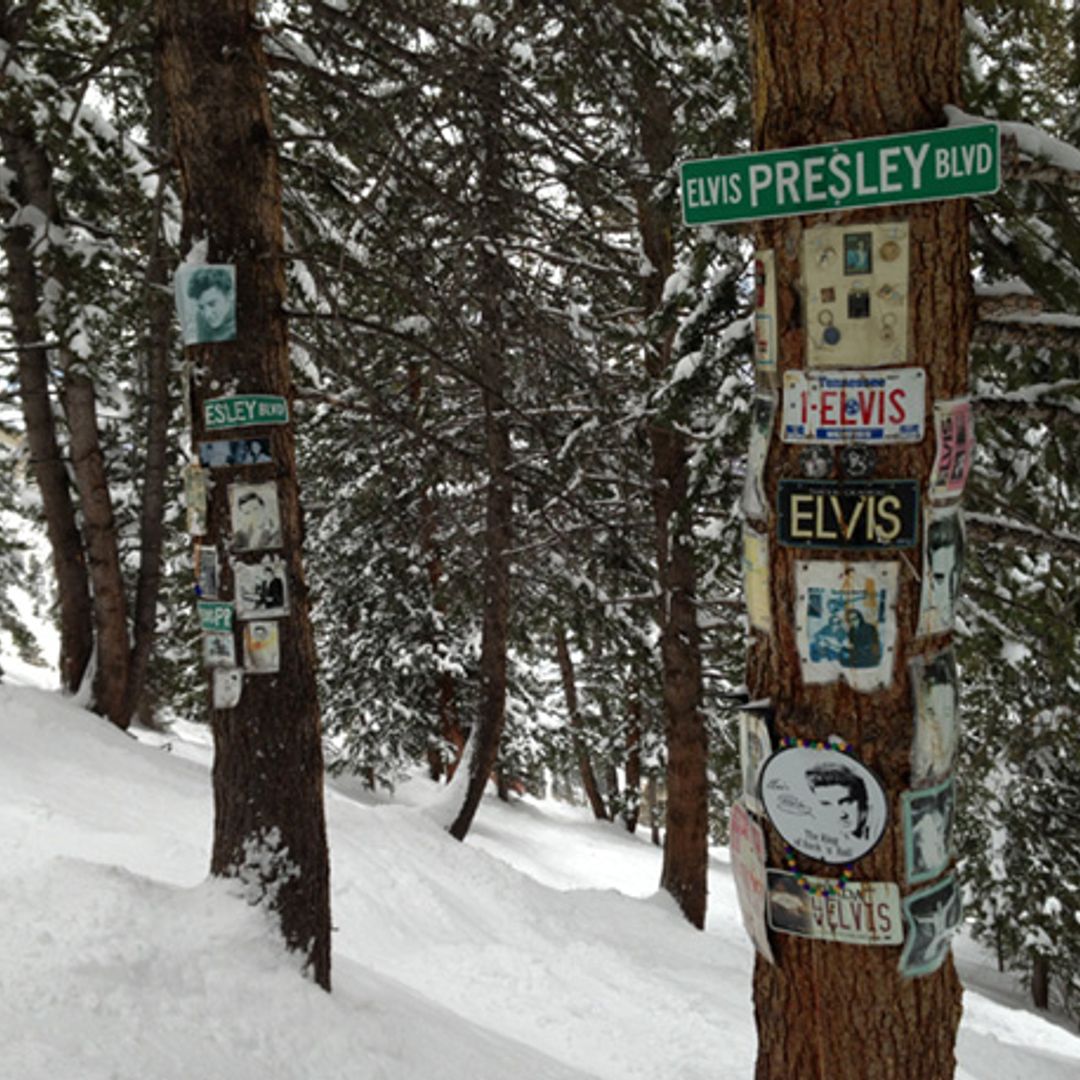 Aspen, Colorado: Ross King skis with the stars