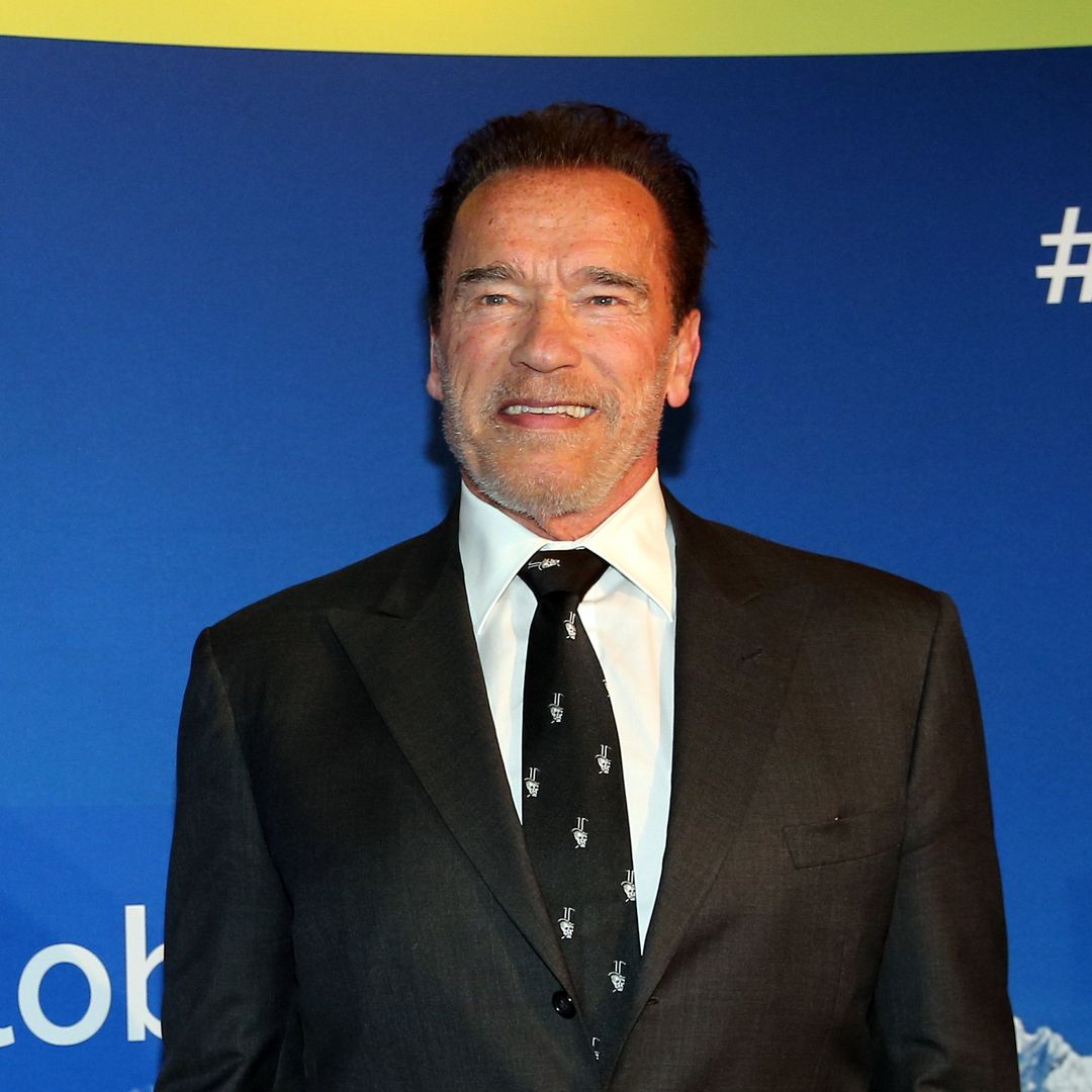 Arnold Schwarzenegger goes viral for incredible act of kindness concerning million-dollar home's neighbors