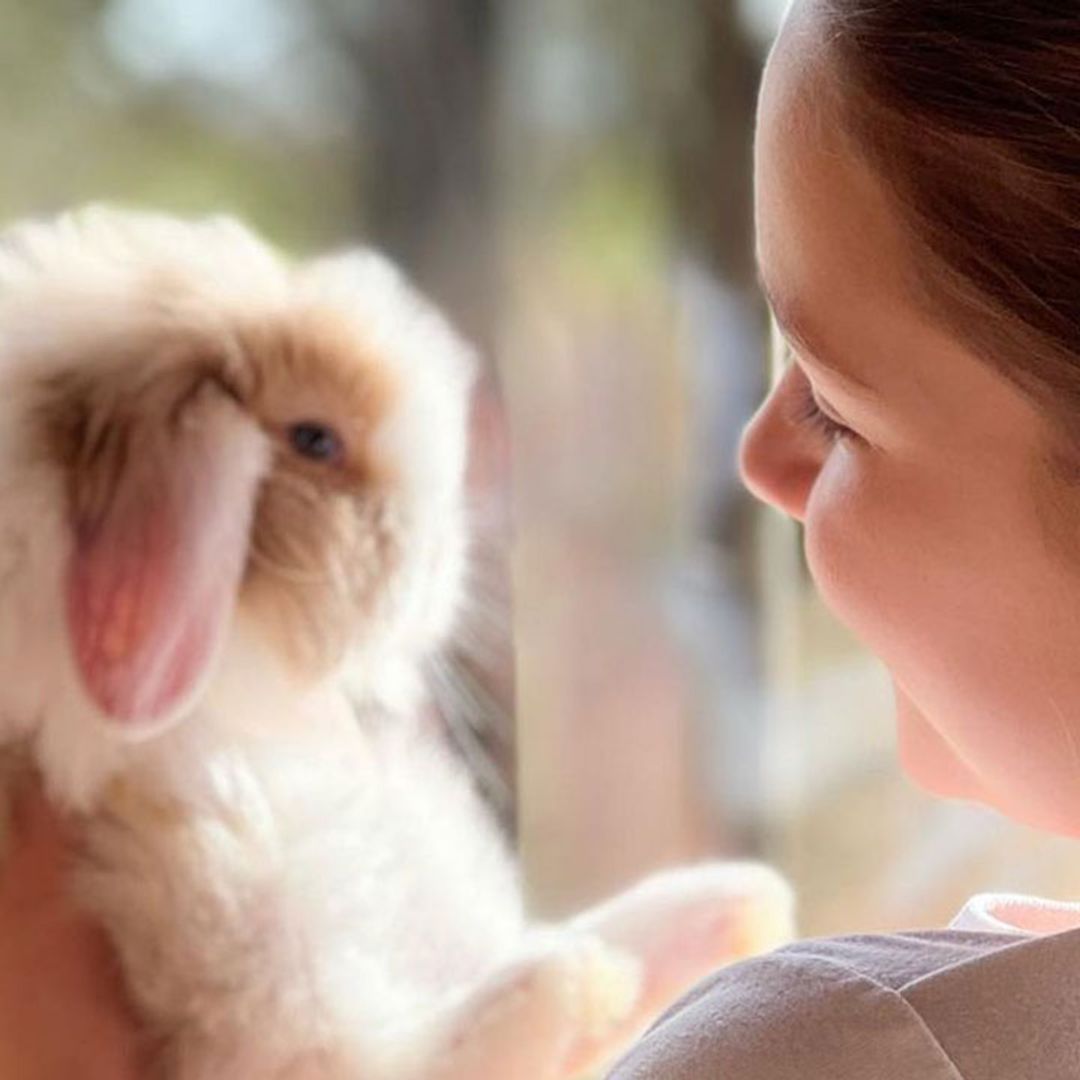 Harper Beckham remembers late family member as David reveals bunny's new name
