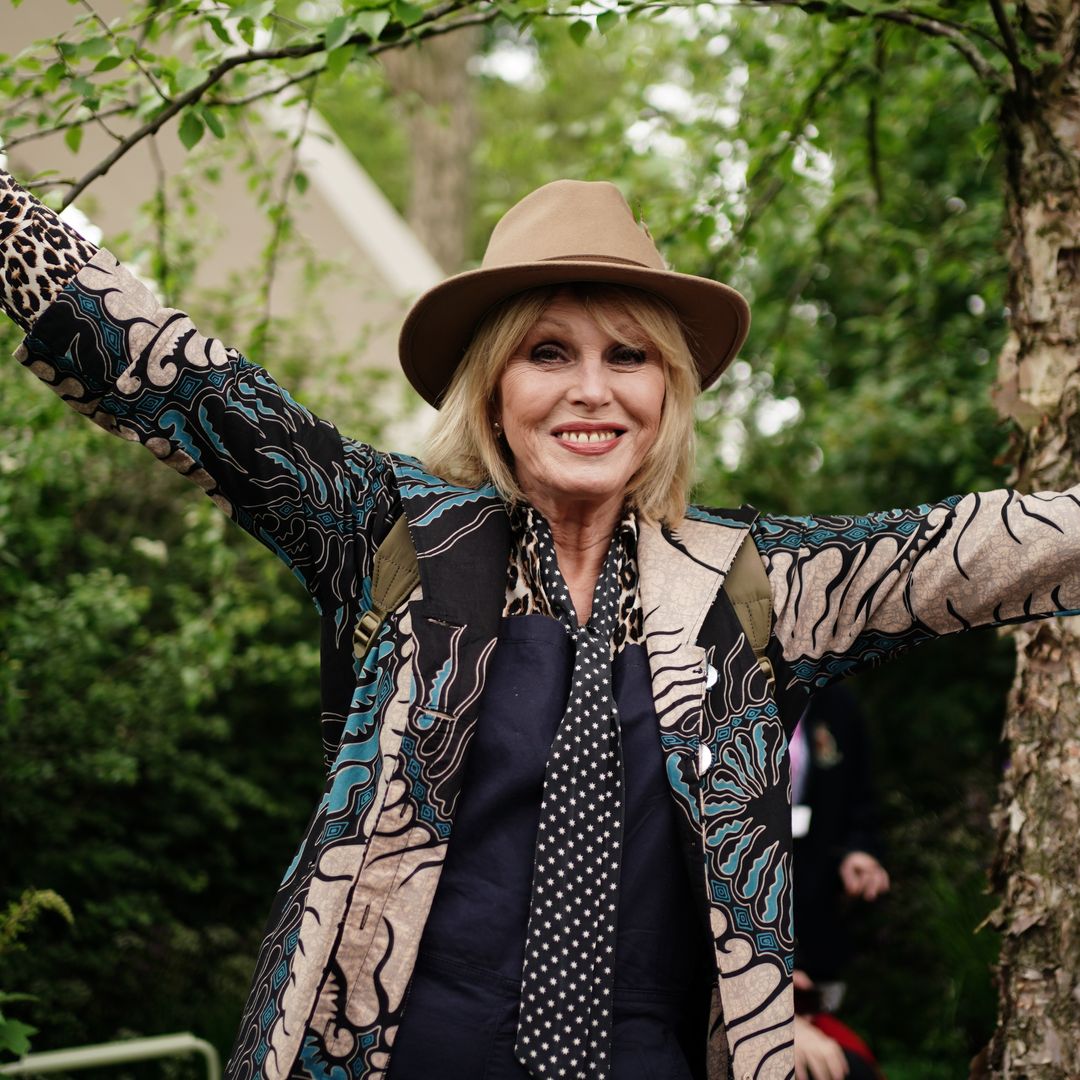 Inside Joanna Lumley’s life with music star husband and only son Jamie