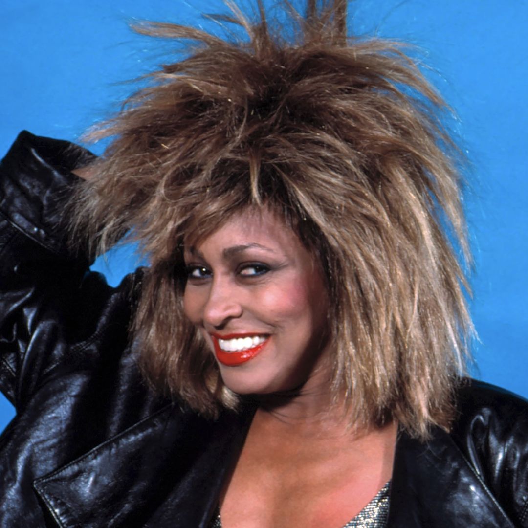 Meet Tina Turner's four sons with her exes