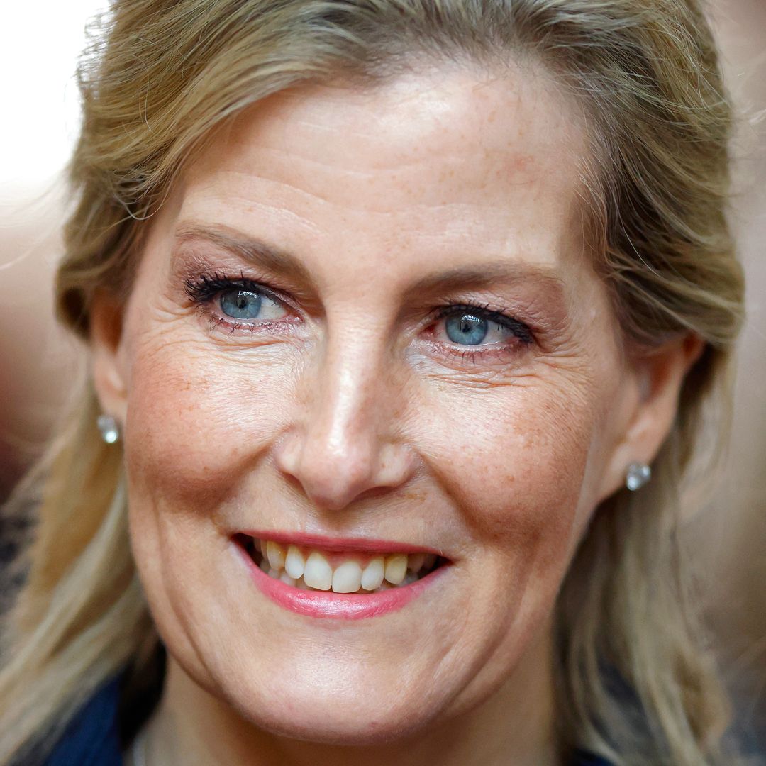 Duchess Sophie glows in new under-the-radar portrait