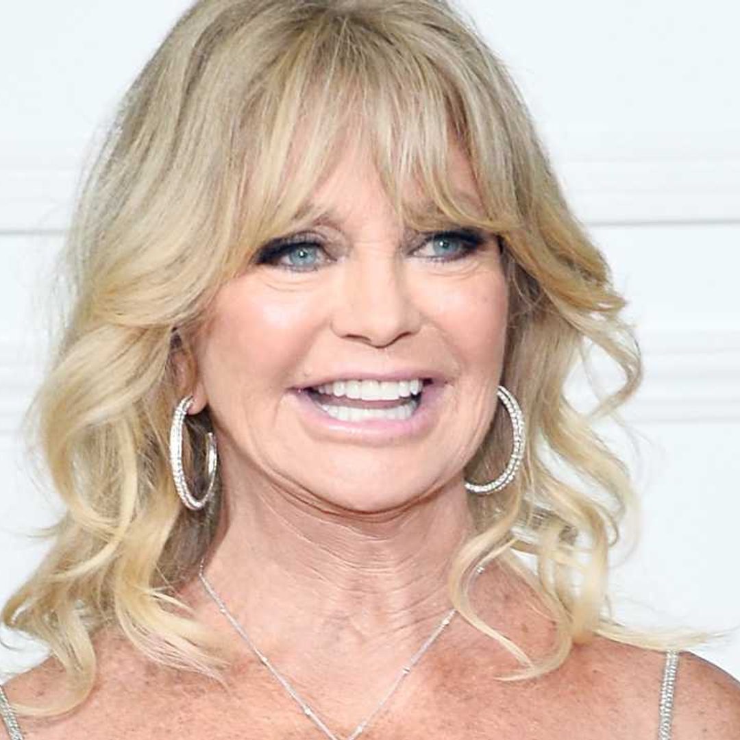 Goldie Hawn looks happy and relaxed in sun-soaked photo with famous family