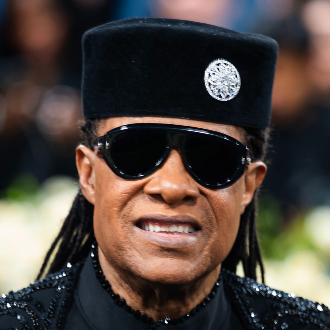 Stevie Wonder's retirement in his own words