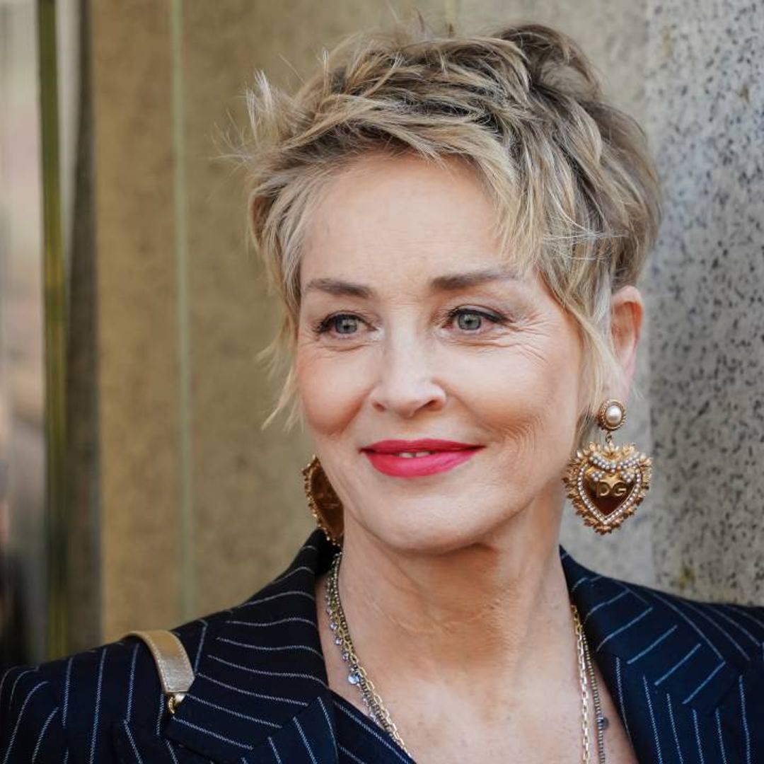 Sharon Stone delights fans as son makes very rare appearance in new video from home