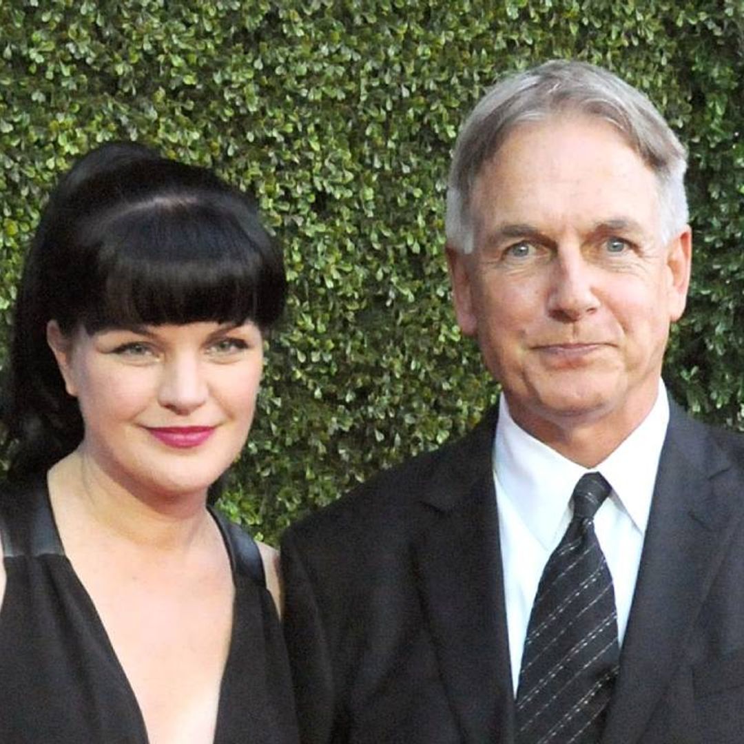 Mark Harmon and Pauley Perrette to return to NCIS? Here's what their co-star teased
