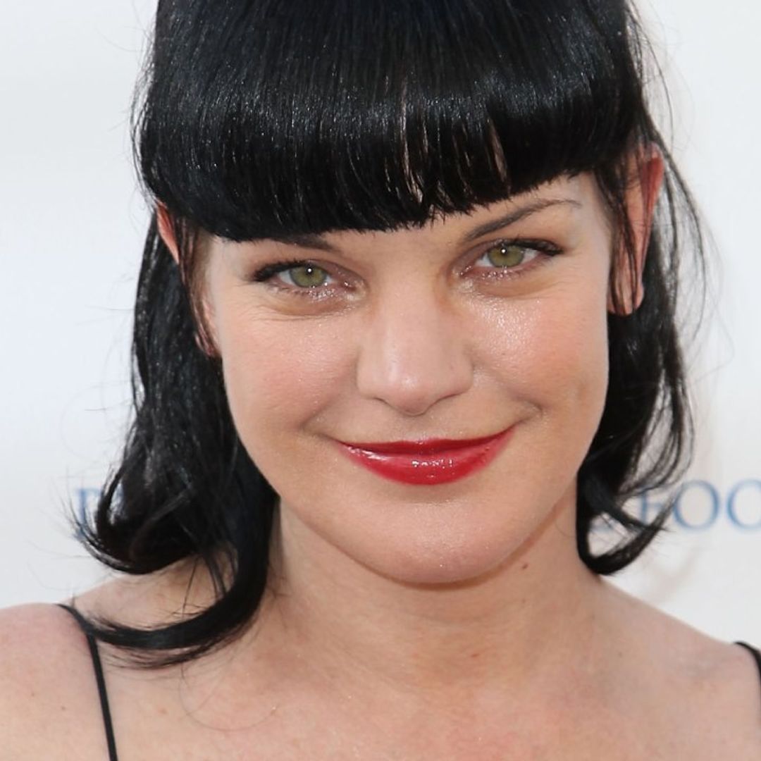 Pauley Perrette's bold new look delights fans as she returns to social media