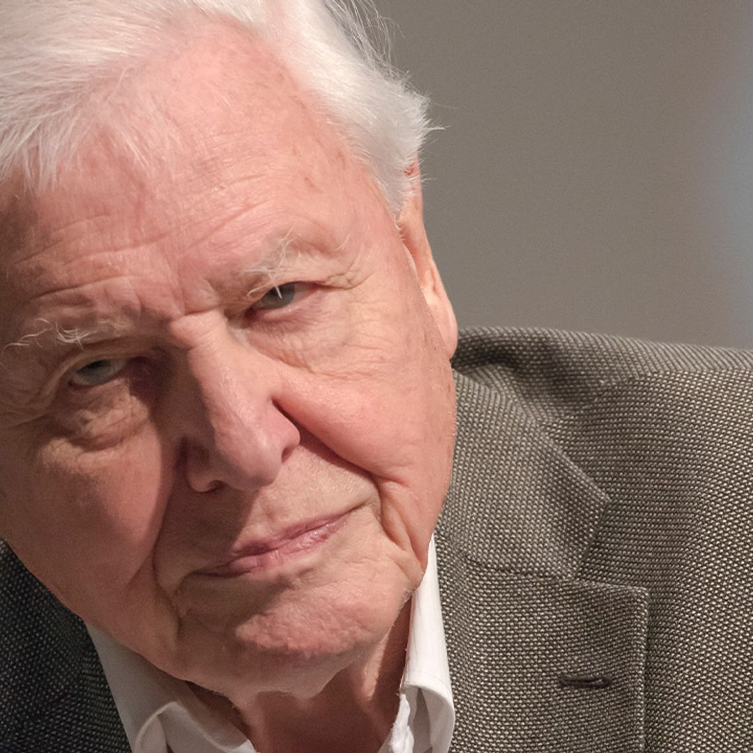 Sir David Attenborough's heartbreaking comments about late wife Jane