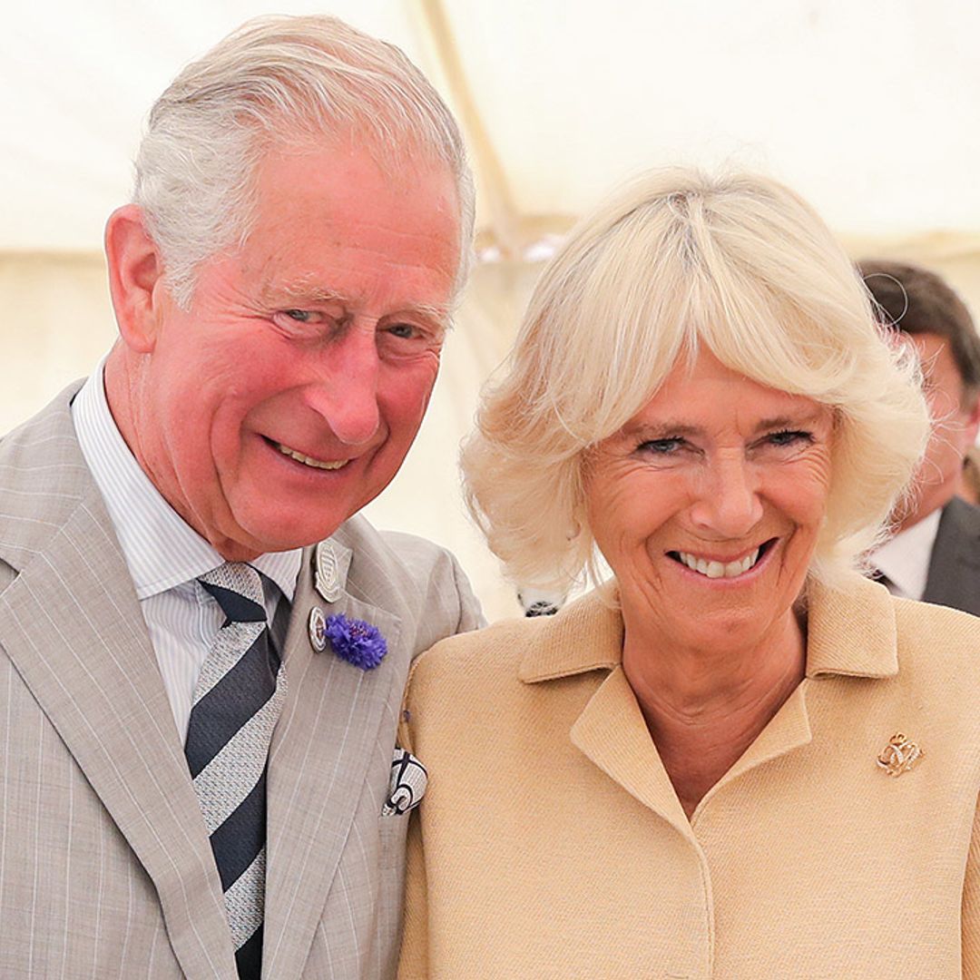 The sweet detail you missed in the Duchess of Cornwall's office photo
