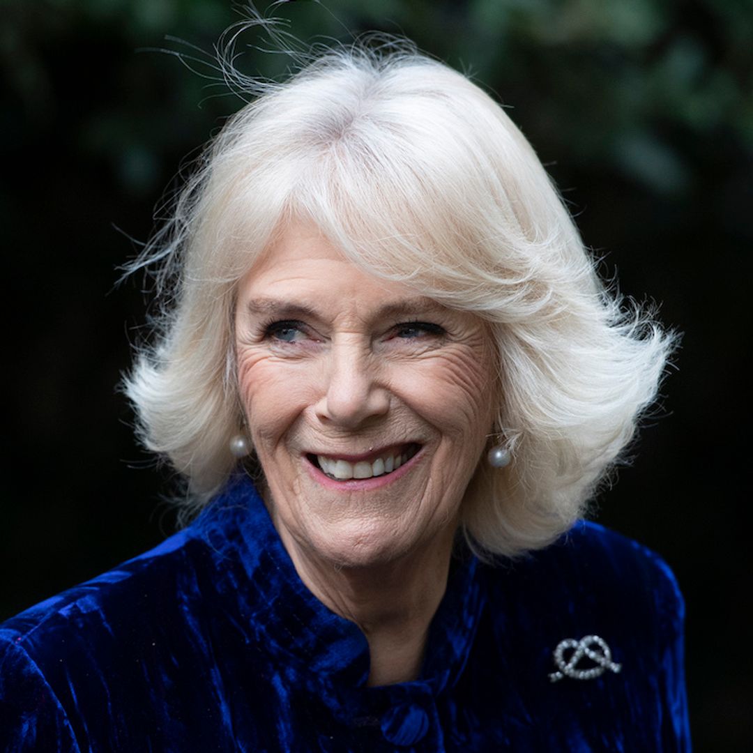 Duchess Camilla stunned us all with her beautiful fashion choices in 2020