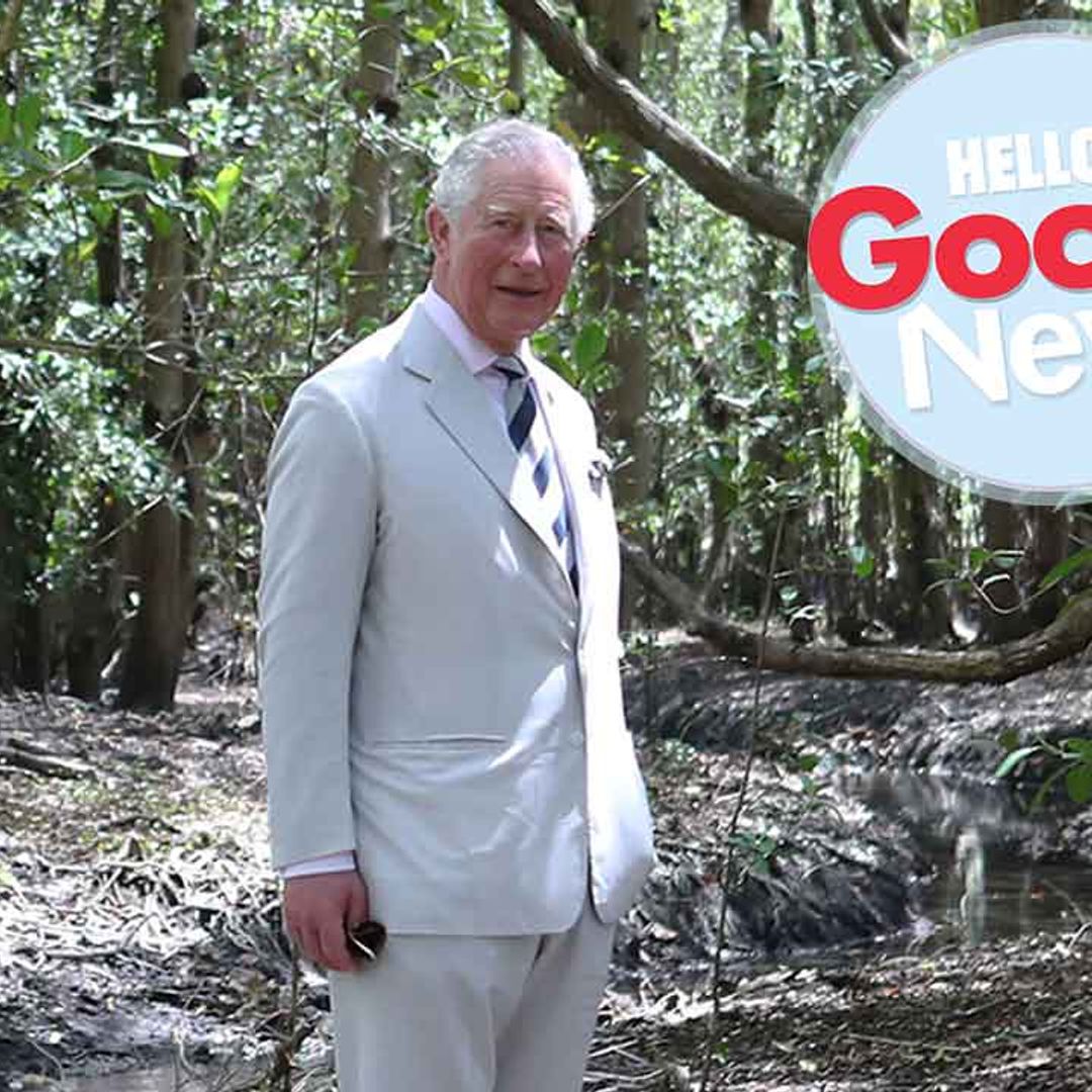 The breakthrough news that will make Prince Charles incredibly happy