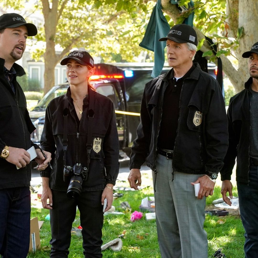 NCIS star accidentally reveals show’s future - will it be back for season 21?