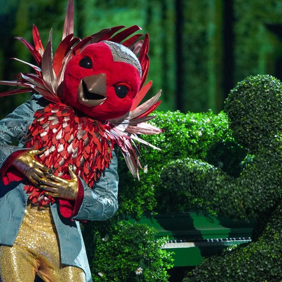 The Masked Singer: bookies convinced of these identities