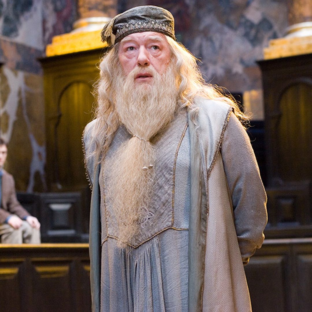 Wolf Hall star set to play Dumbledore in the HBO Harry Potter series - report