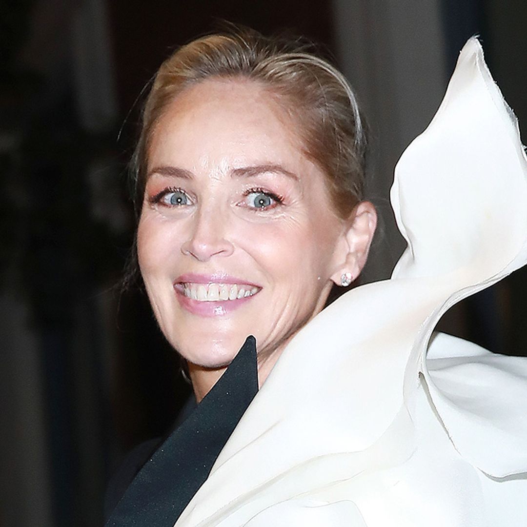 Sharon Stone delights fans with exciting announcement