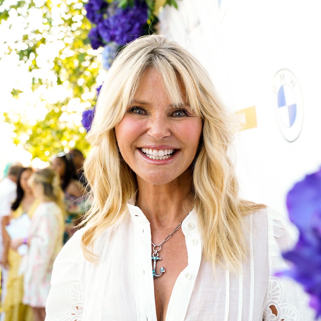 Christie Brinkley's appearance in 71st birthday photos sparks reaction
