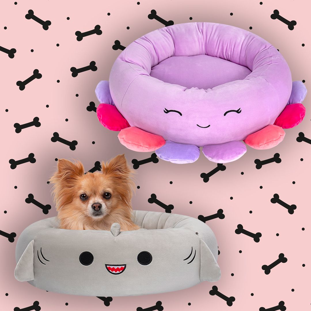 Squishmallows are now making beds for pets and my dog is in heaven - review