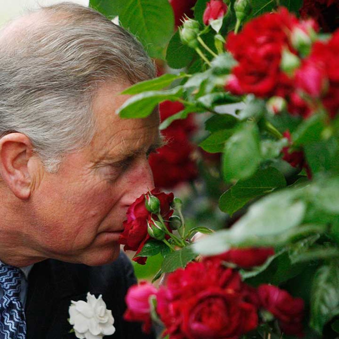 Prince Charles shares glimpse of leafy Birkhall garden as he supports important patronage