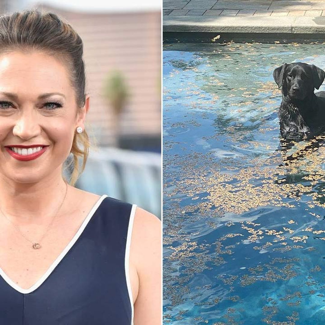 GMA's Ginger Zee unveils incredible swimming pool – fans react