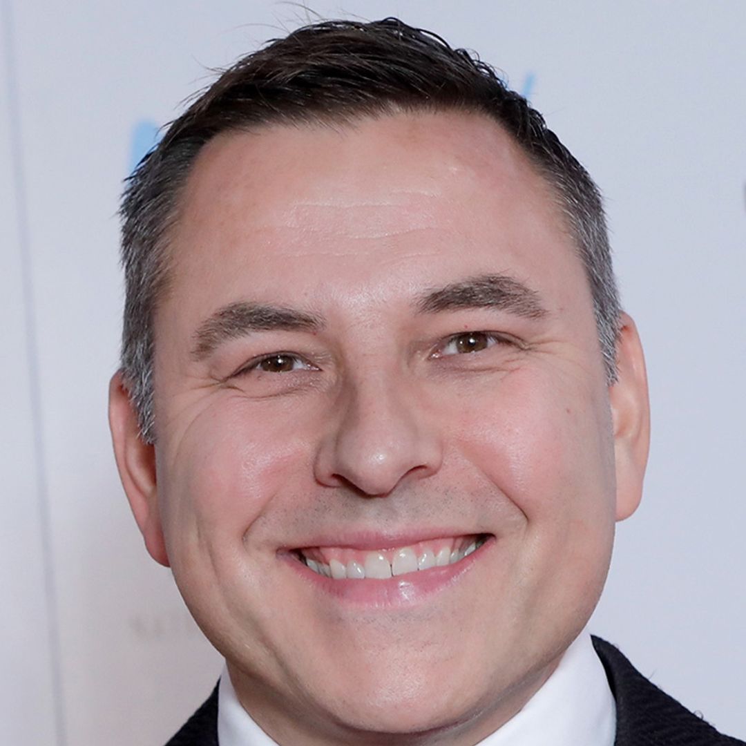 David Walliams shares rare glimpse into his home for this important reason
