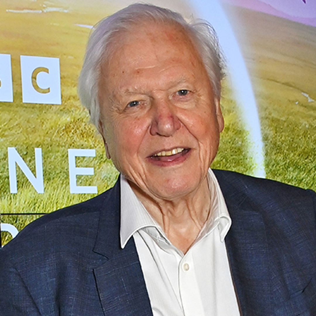 How Sir David Attenborough’s children followed in his footsteps