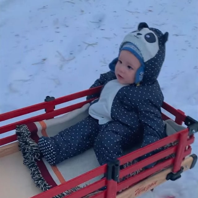 Archie being pulled on a sleigh in Canada