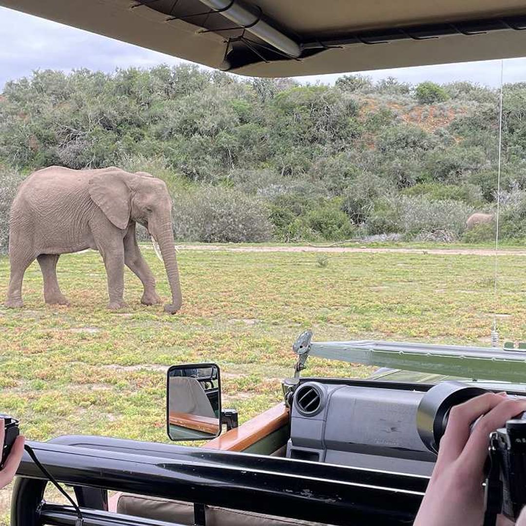 Where to take teens on safari: a South African family adventure