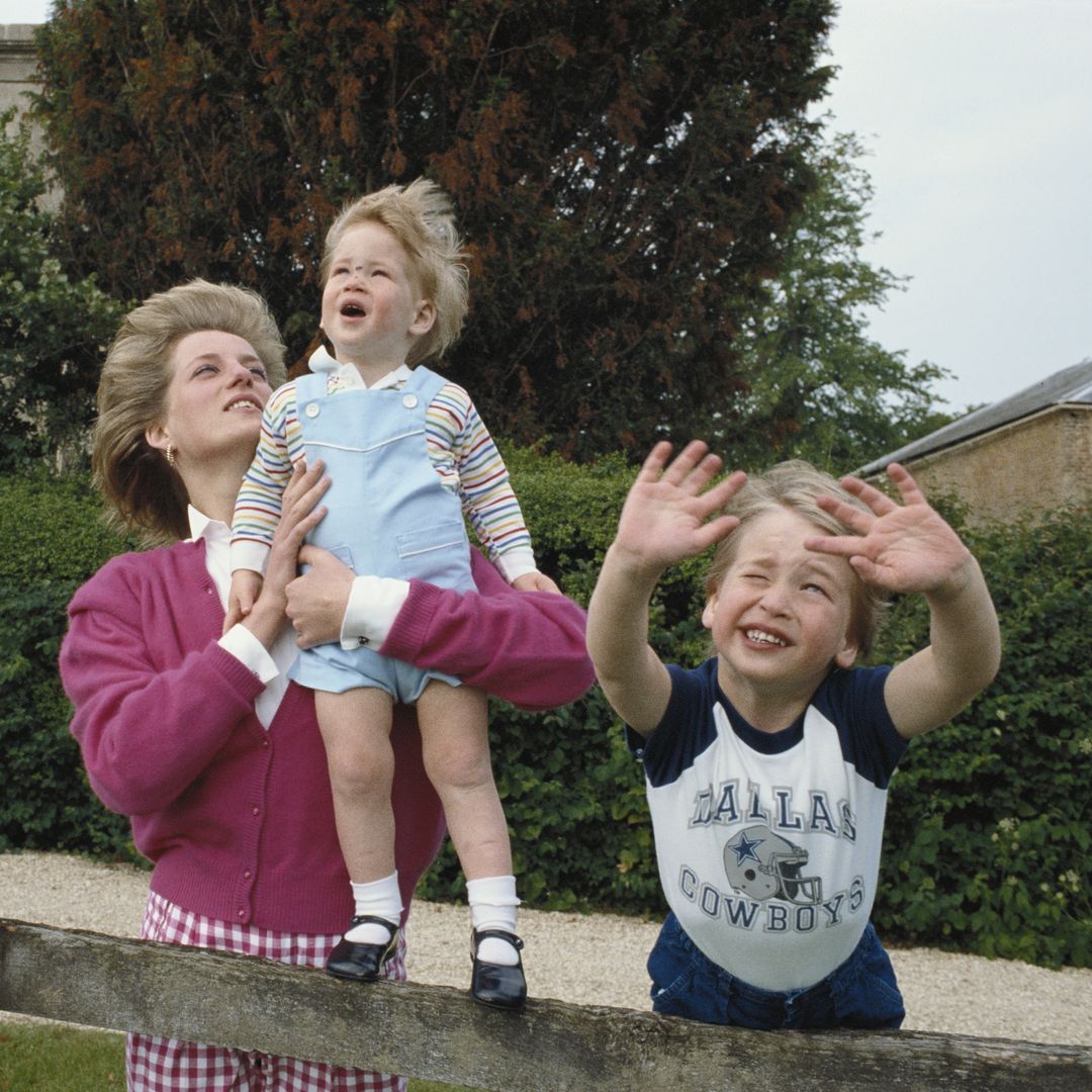 The one food Princess Diana never had at home unless sons William and Harry were back