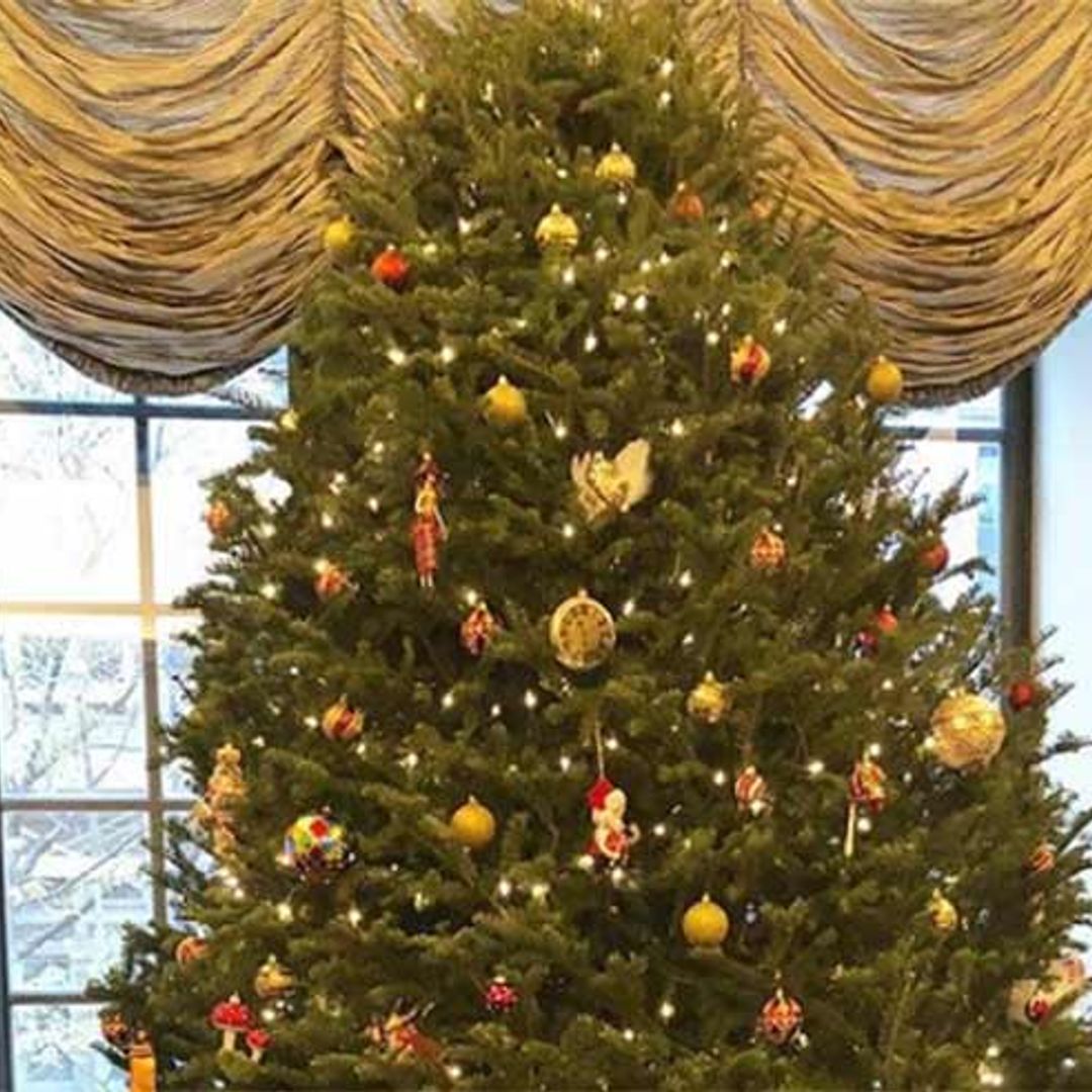 Royal family shares Christmas tree snap from lavish London home