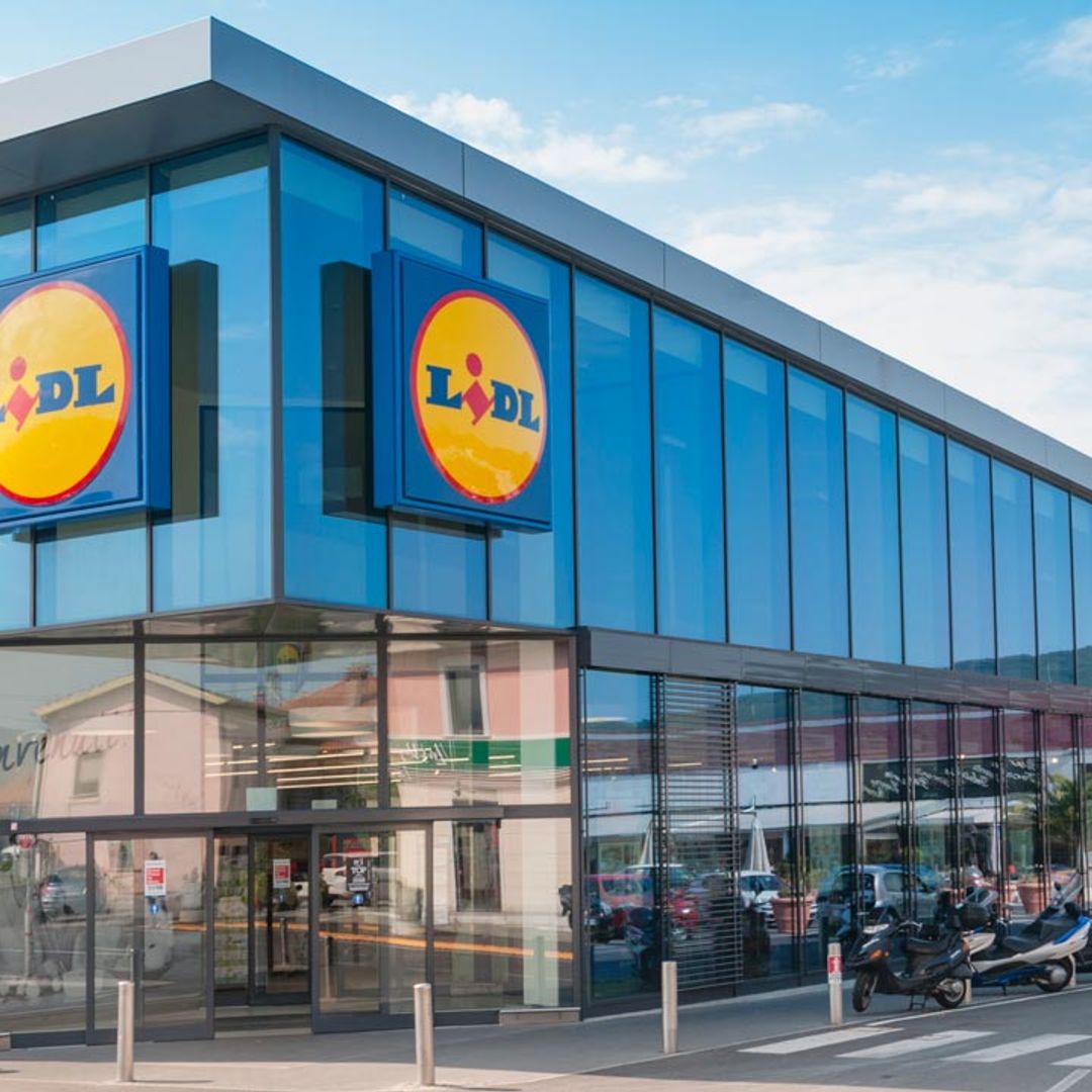 Lidl shoppers go wild for £2.99 Ben & Jerry's deal
