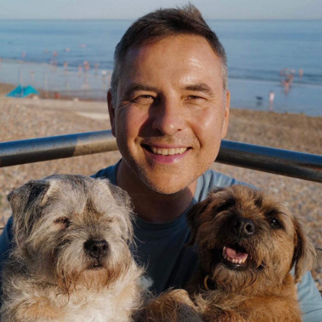 David Walliams' lesser-known home away from the the cameras