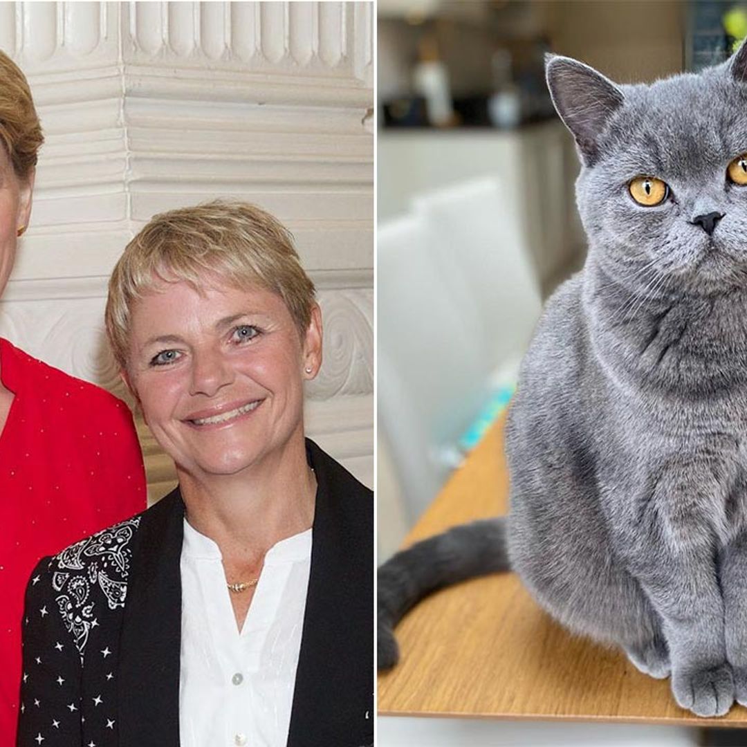 Clare Balding's London home with Alice Arnold is a palace for their pets - photos