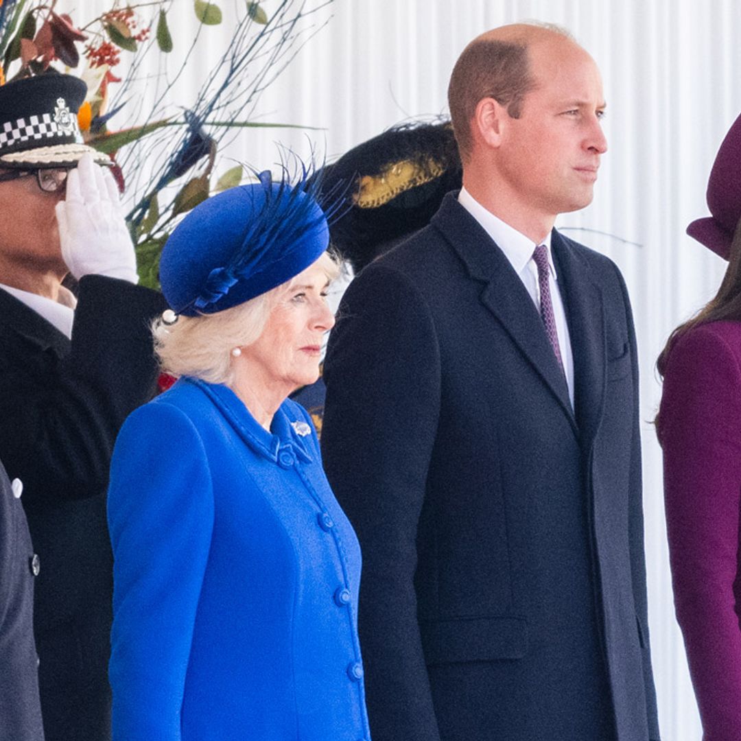 King Charles, Prince William and Princess Kate publicly defended by royal family member