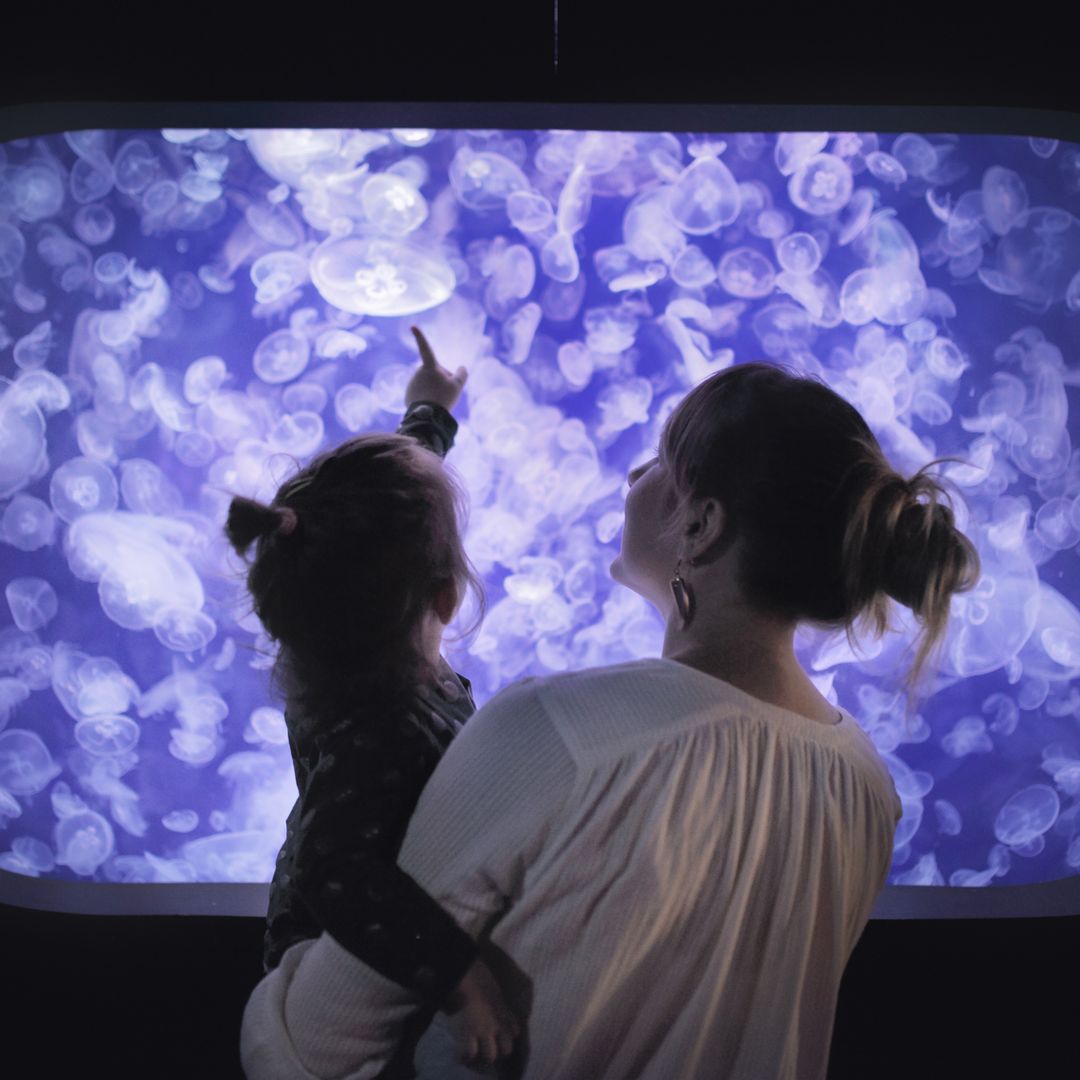 Jellyfish parenting: What is it and why is it becoming more common?