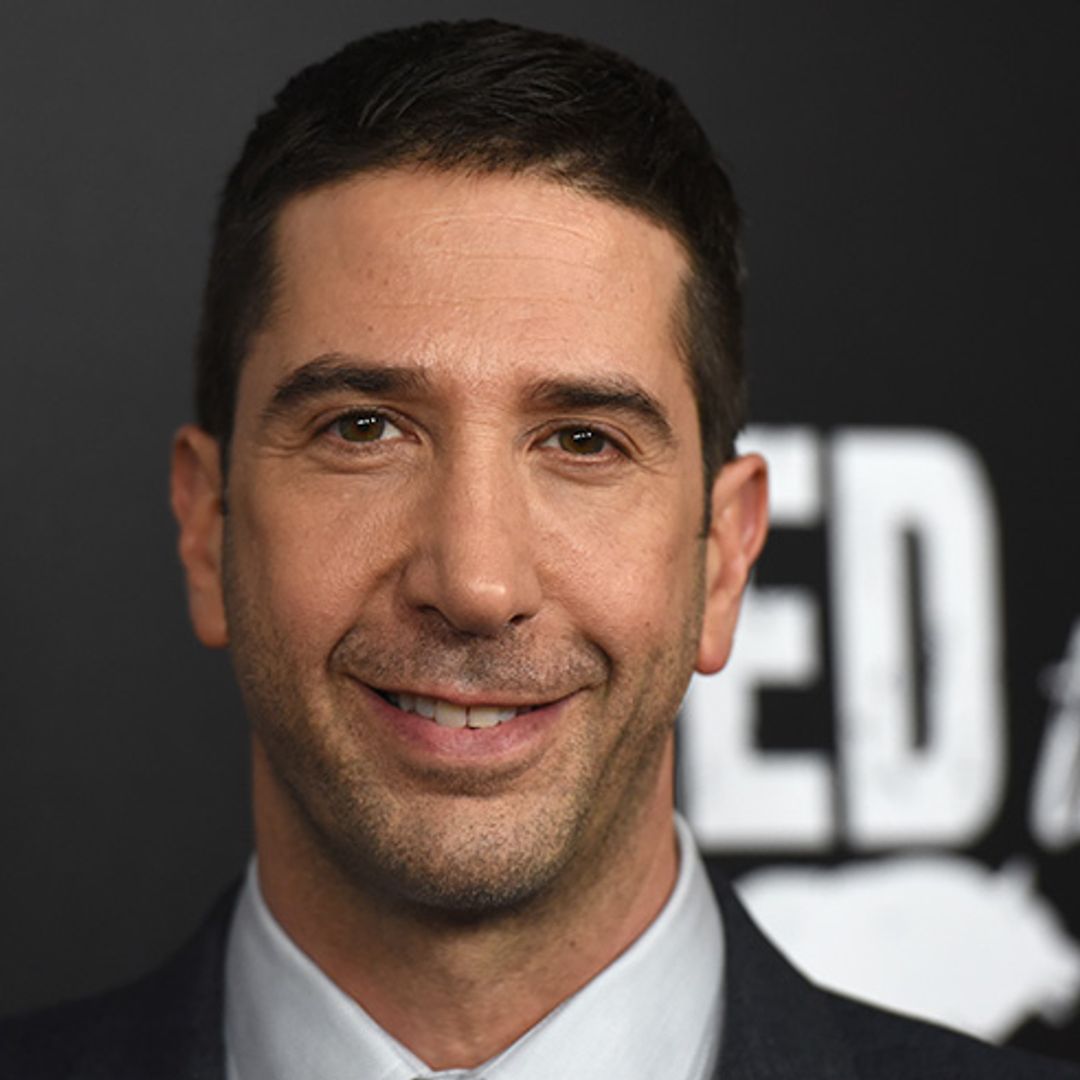 Friends star David Schwimmer has joined another much-loved TV series