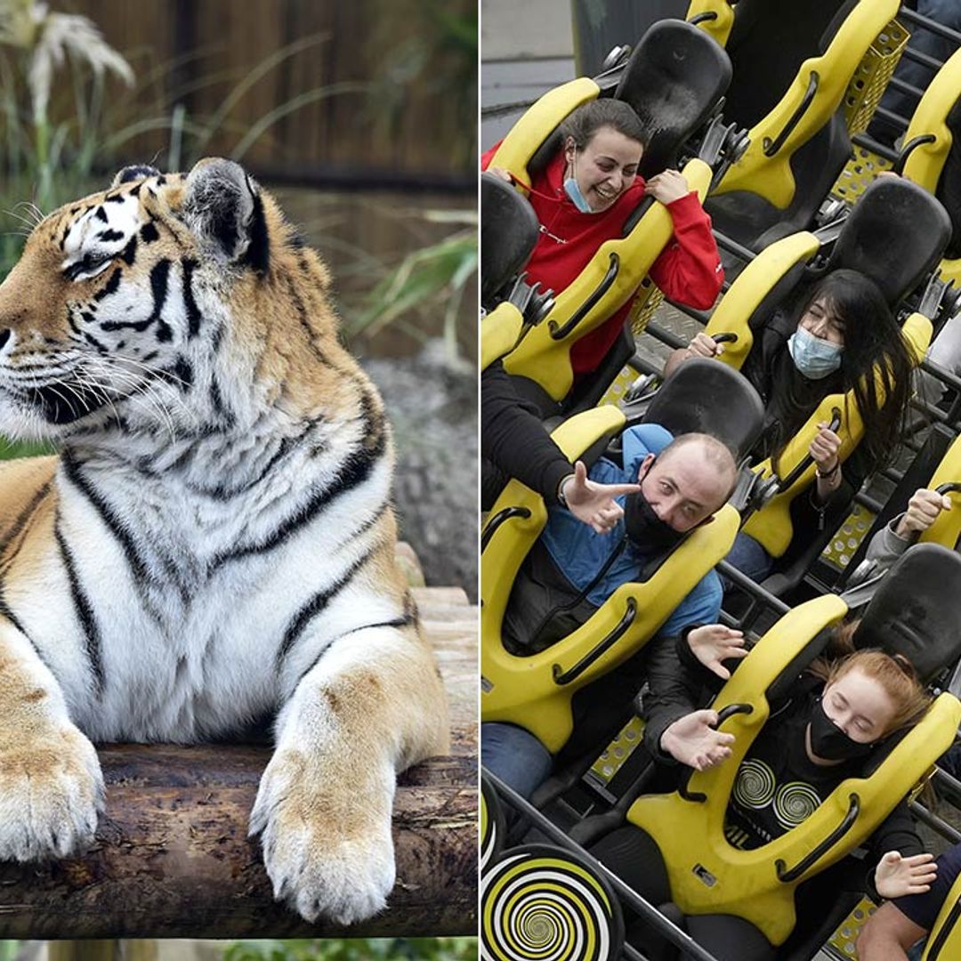 12 family-friendly attractions re-opening next week as lockdown eases