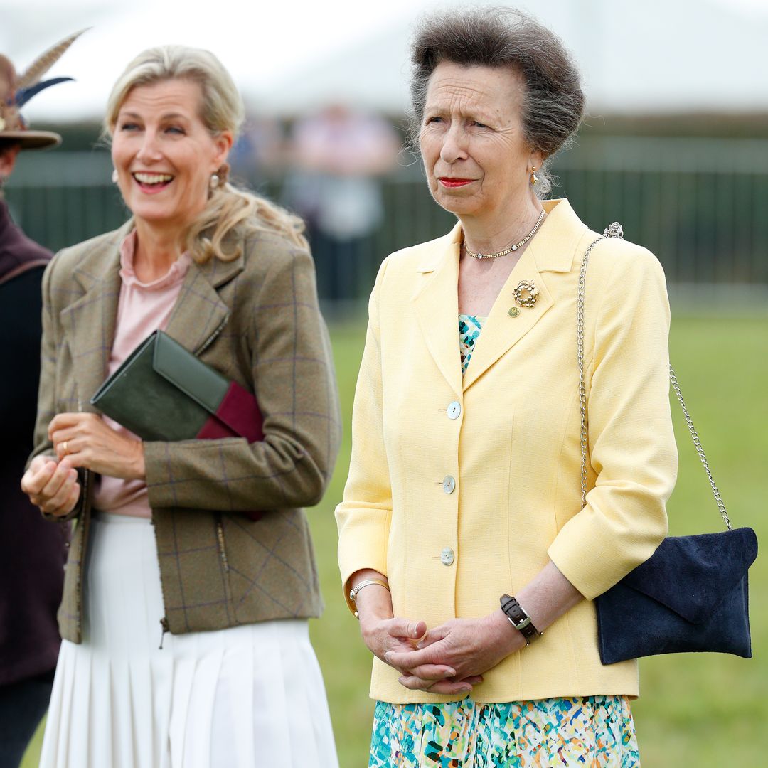 Princess Anne and Duchess Sophie's royal first you might have missed