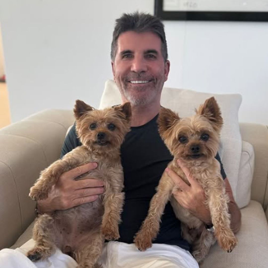 Simon Cowell issued warning over 'distressing' addition to home
