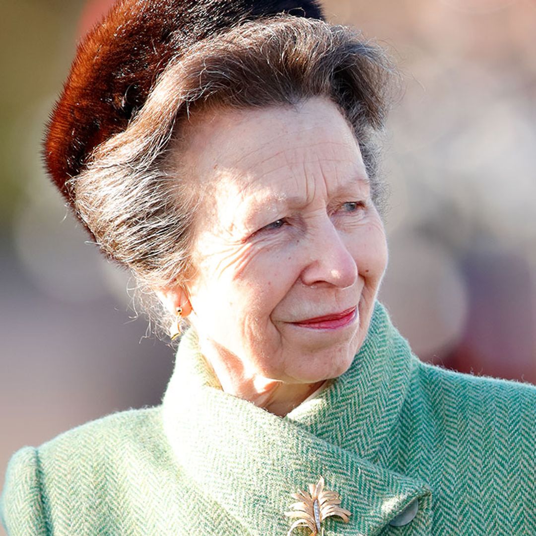 Princess Anne looks smart in tweed and pleated skirt for special outing