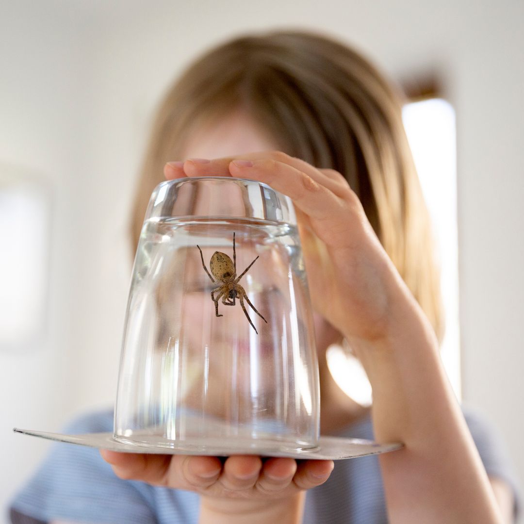 5 ways to keep spiders out of your home – and the one mistake you've been making