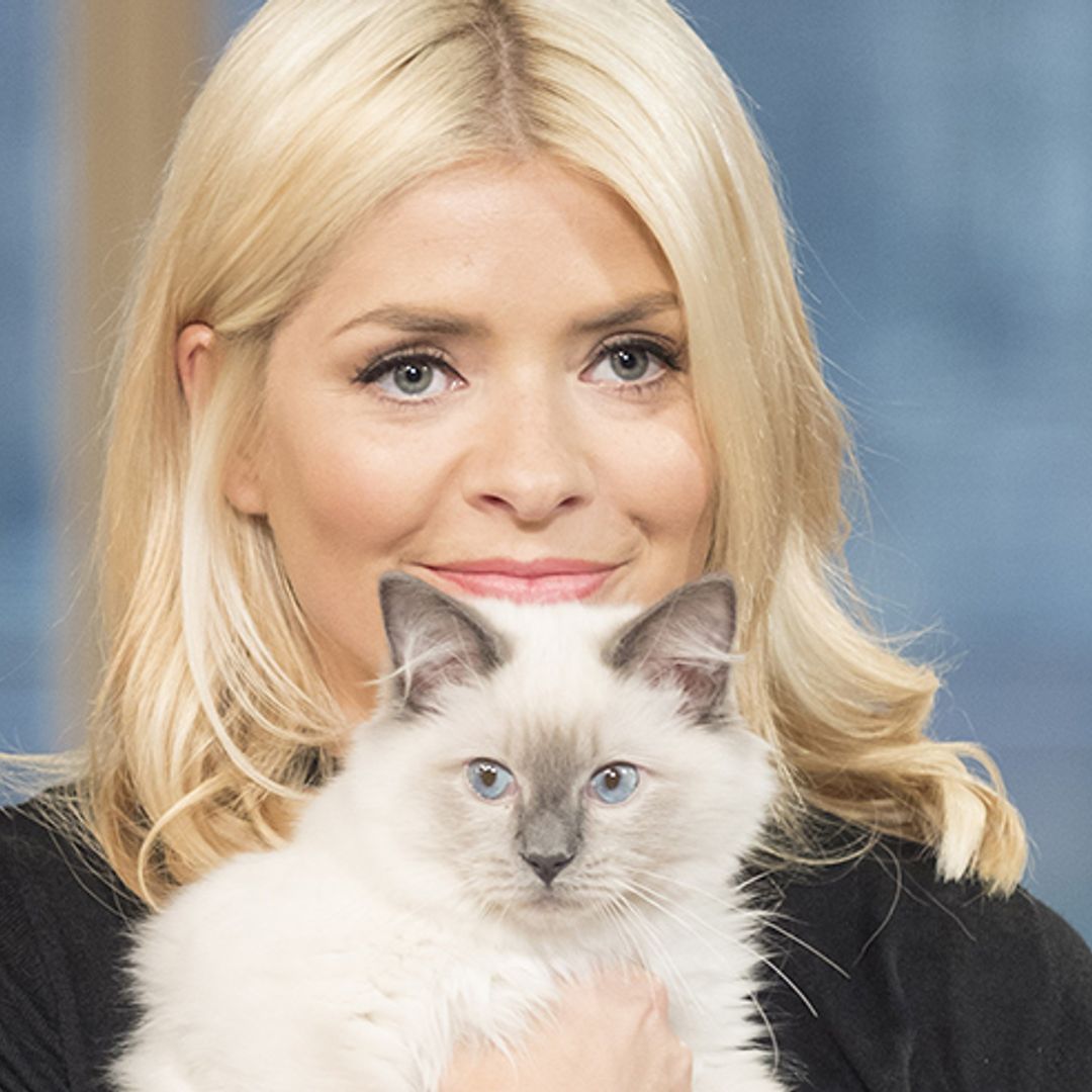 Holly Willoughby being sick on her cat: the inside story