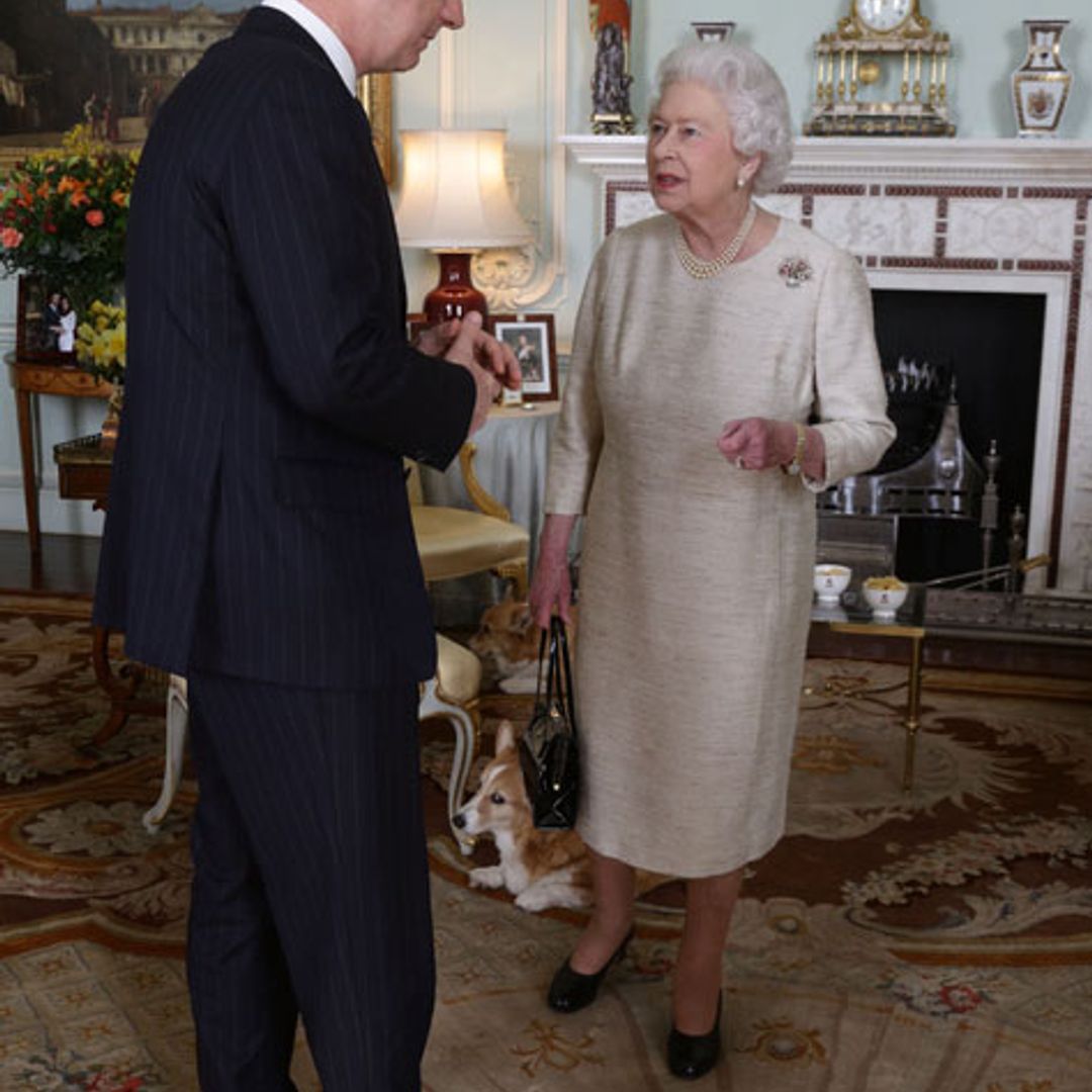 The Queen and her corgis welcome the Belgian royals to Buckingham Palace