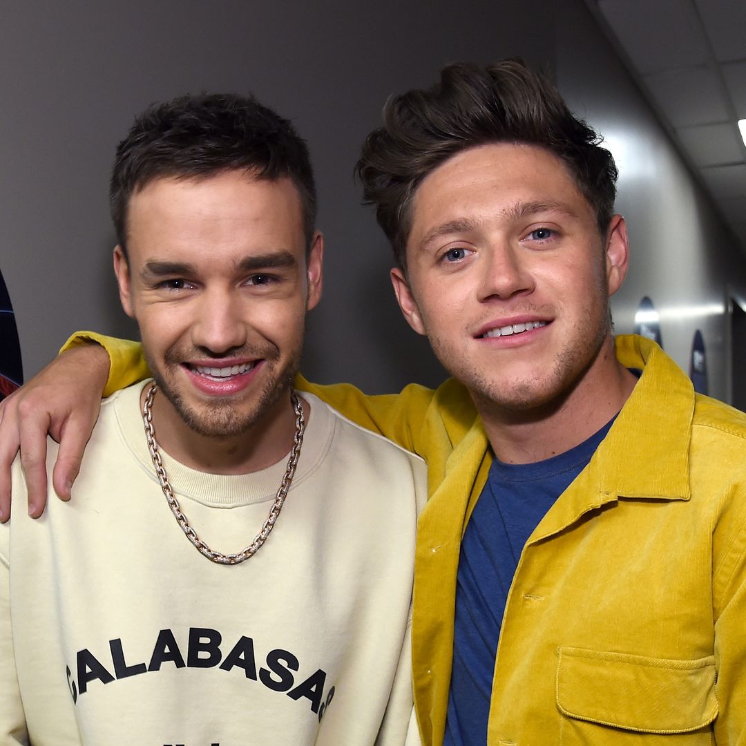 Niall Horan reveals tragic final goodbye with Liam Payne