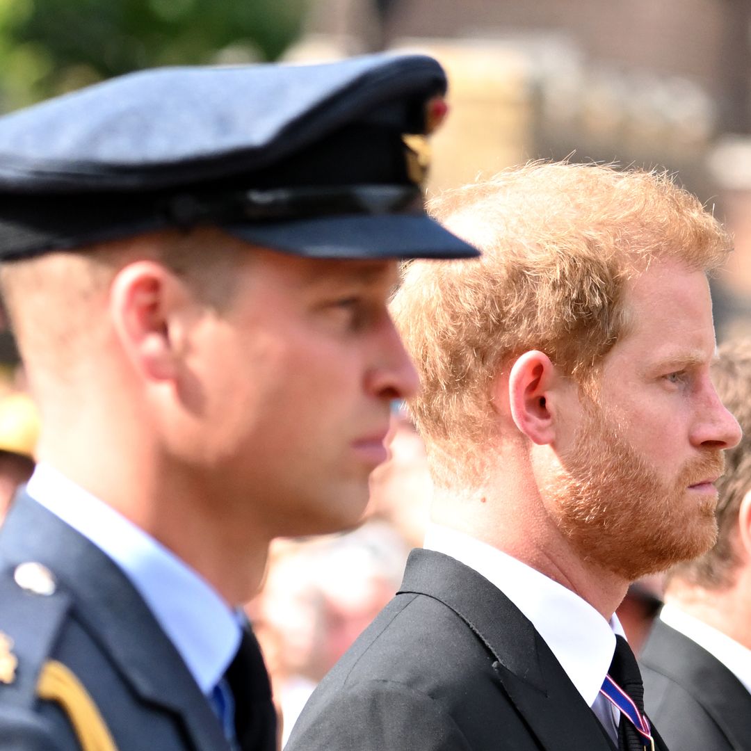 Prince Harry will not reunite with Prince William during UK visit