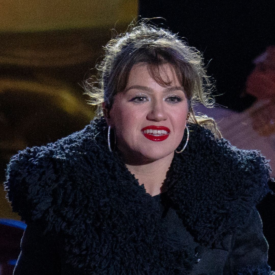 Kelly Clarkson's new family photo has fans all saying the same thing