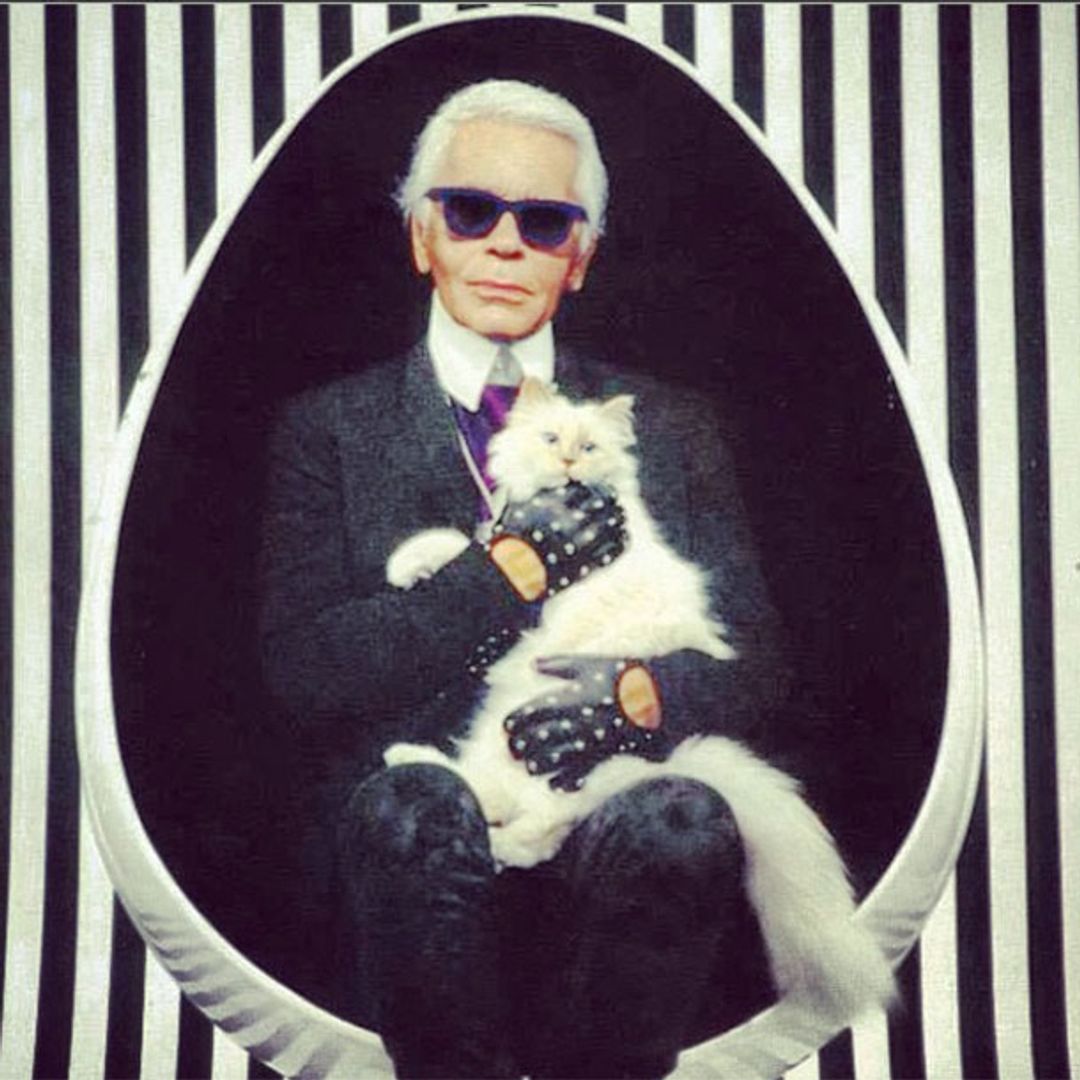 Karl Lagerfeld's cat Choupette earned over £2million last year